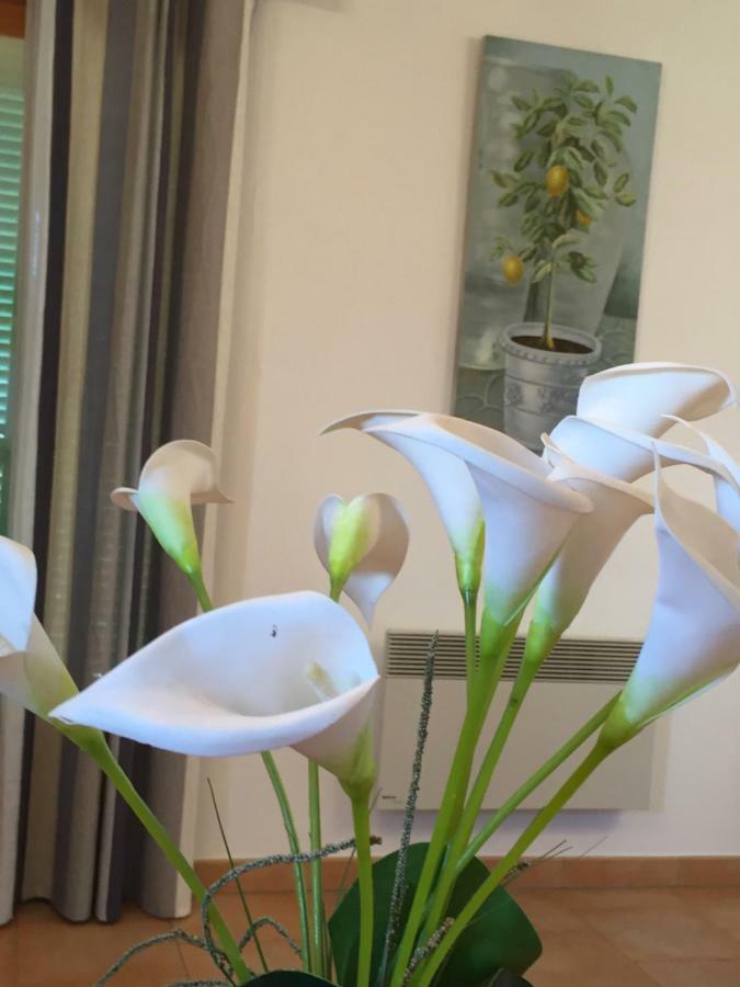 Le Bellevue- Martinon Apartment Utelle Luaran gambar